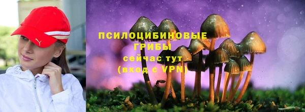 скорость Нягань