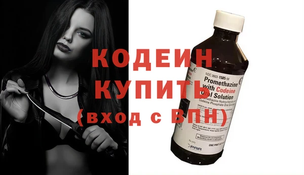 Альфа ПВП Няндома
