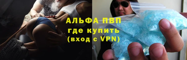 PSILOCYBIN Гатчина