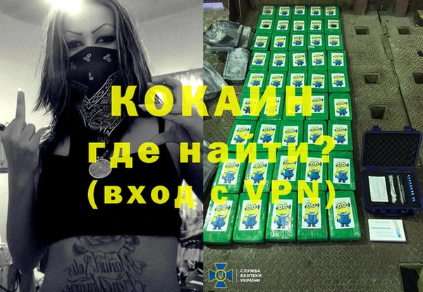 Альфа ПВП Няндома