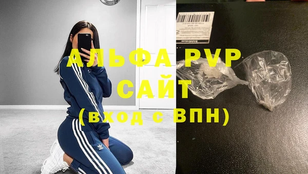 Альфа ПВП Няндома